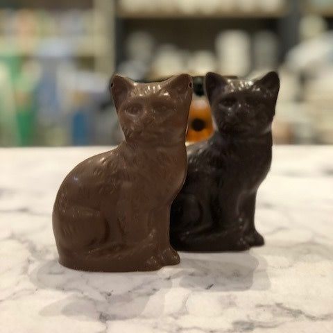Amy le chat 100gr de chocolat au lait