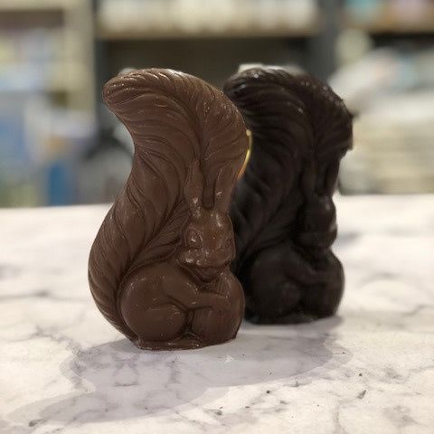 L&#39;écureuil 100gr de chocolat au lait