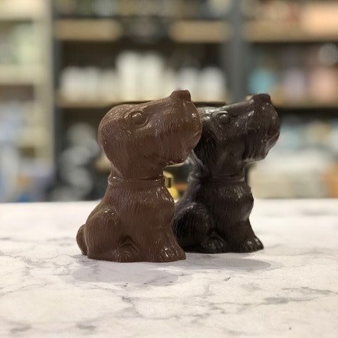 Boogie le chien 100gr de chocolat au lait