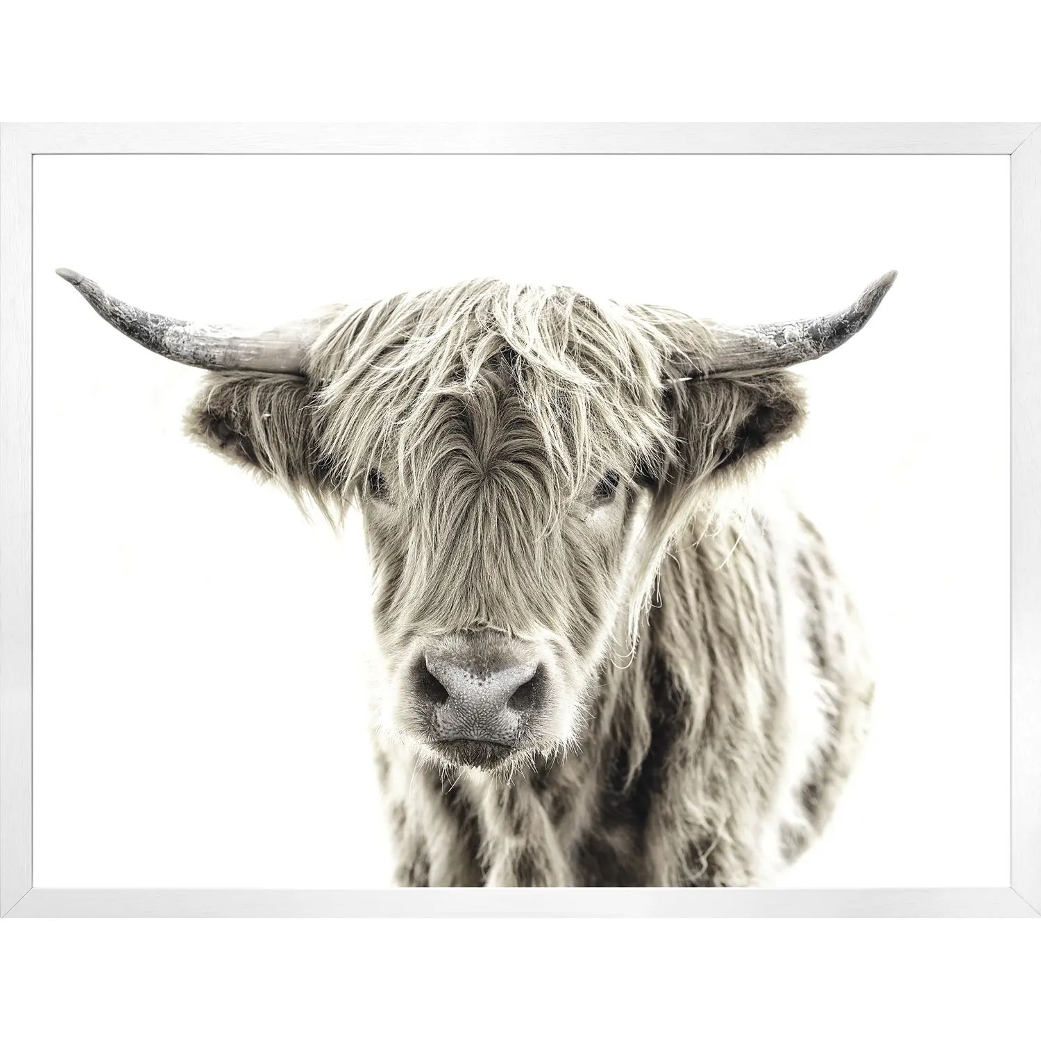 Highland Cow toile 19173