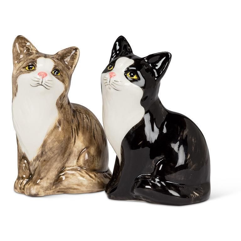 Duo de Chat Sel&amp;Poivre-3''