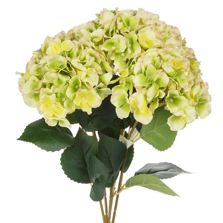Bouquet Hydrangées Green 20"H