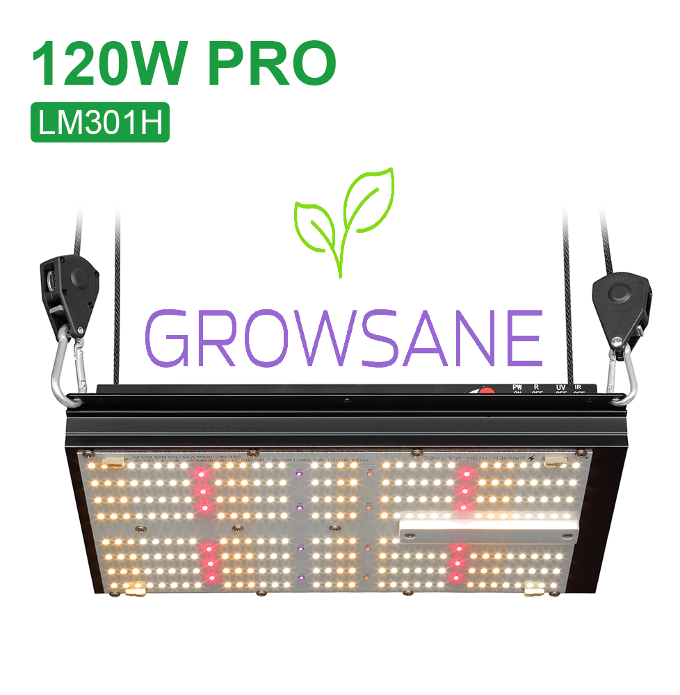 Growsane Growset 120W PRO mit LED, Lüfter, Filter & Zubehör