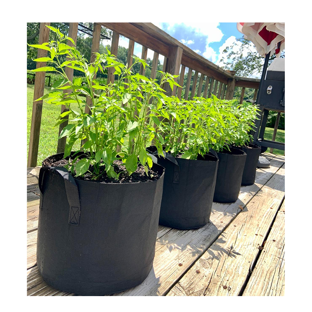 300G Growbags – Atmungsaktiv, robust & ideal für Cannabis