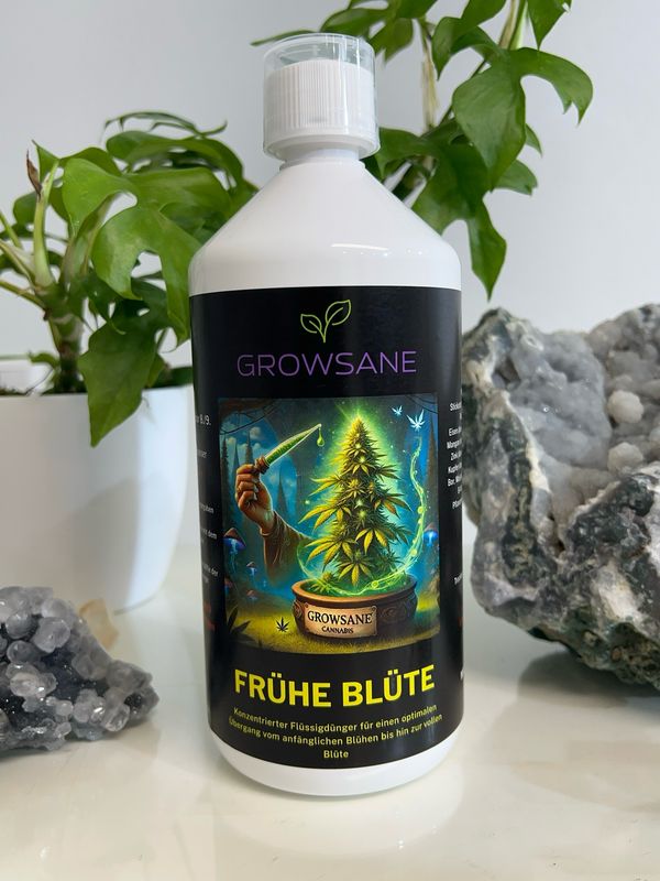 Frühe Blüte Dünger 1000 ml – Für starke Blütenentwicklung
