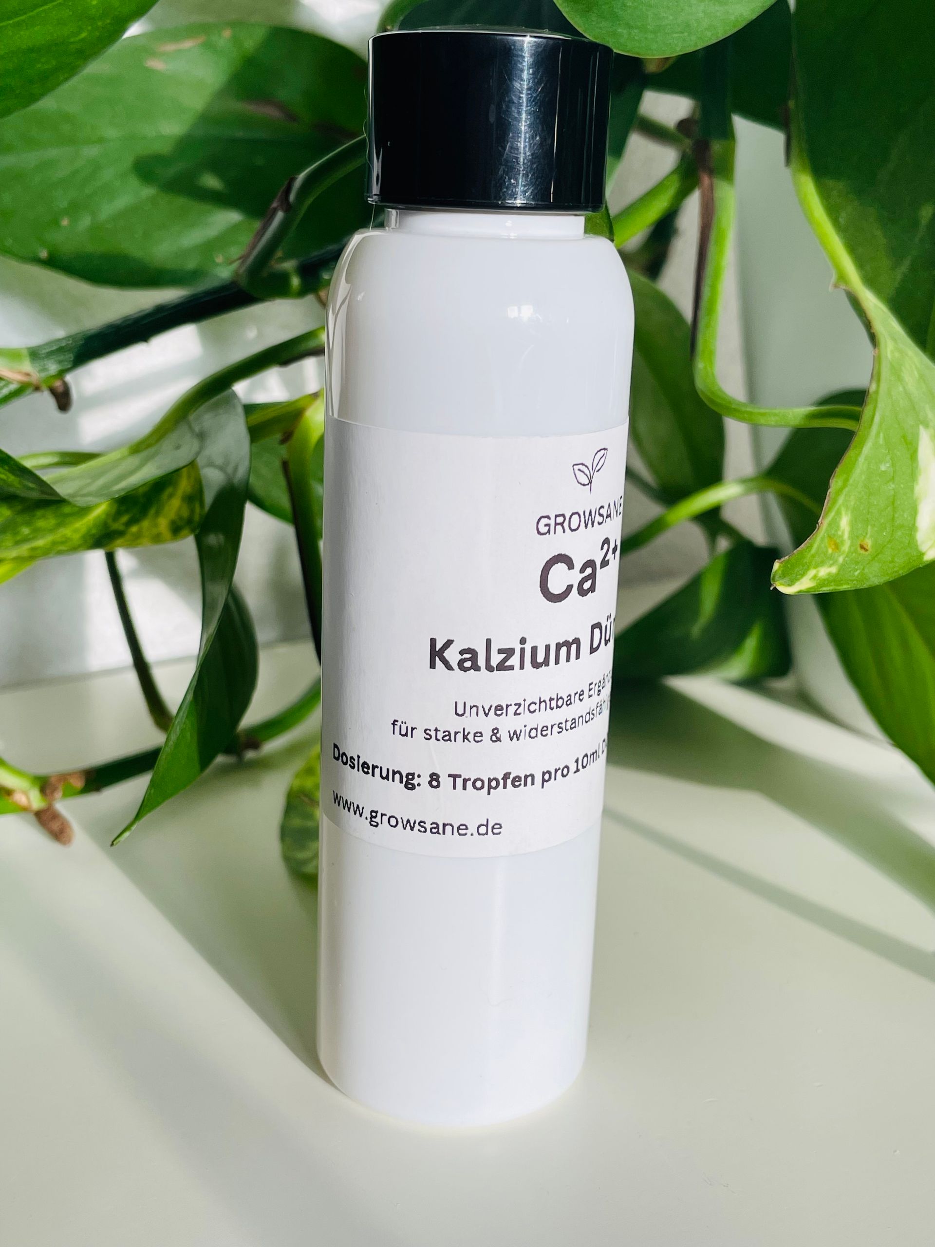 Growsane Kalzium Dünger 100 ml – Ergänzung für Zellstruktur