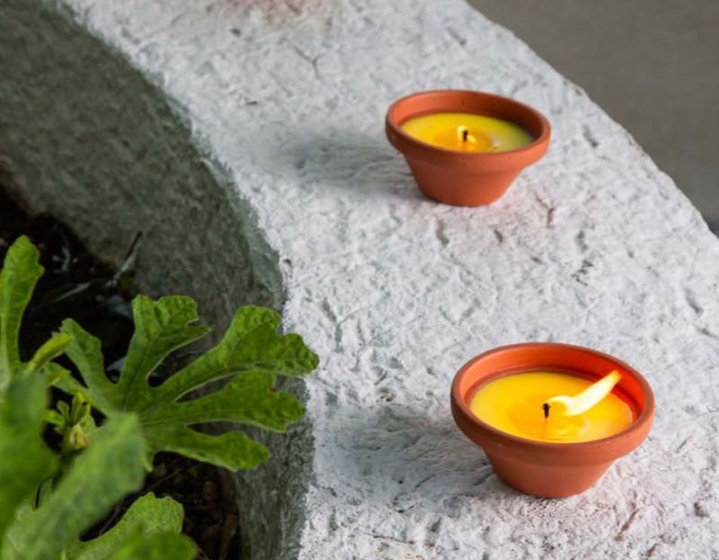 Plato Terracota Natural-Citronela
