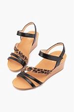 Silver Lining Lavinia