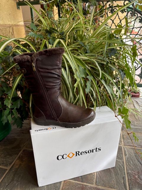 CC Resort Goose