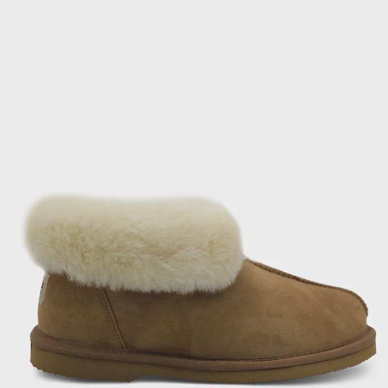 Ugg Numbat