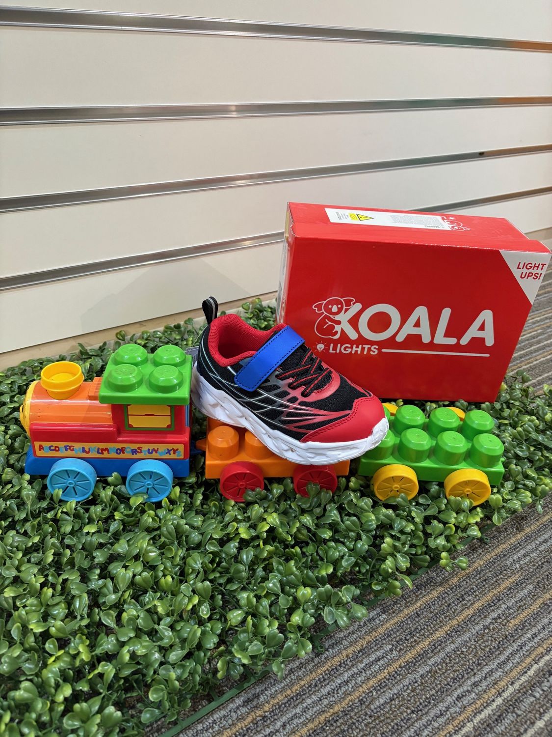 Koala LIght Ups Race