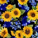 Black Sunflower Blooms