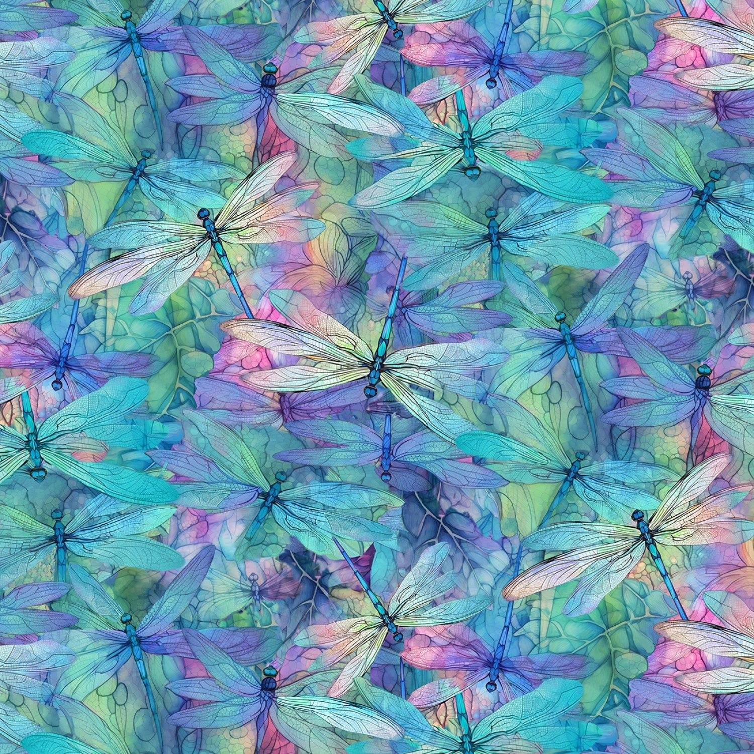 Dream Dragonfly