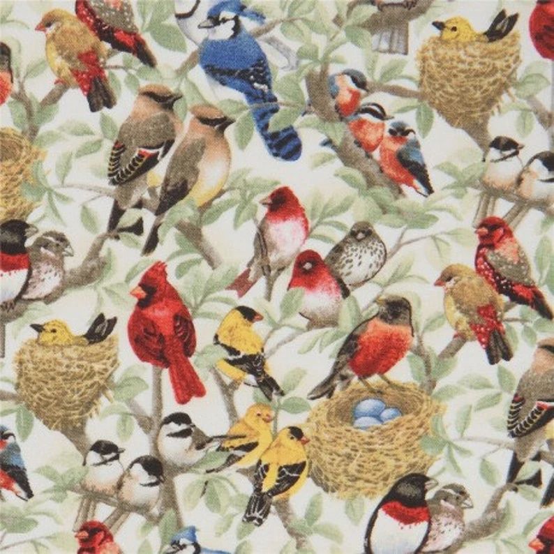 Beautiful Birds
