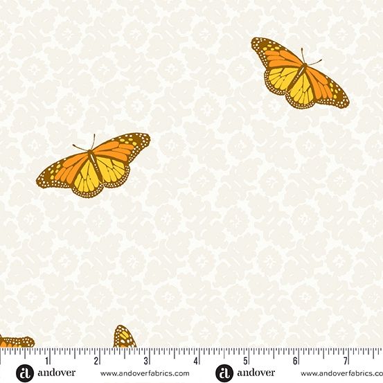 Sun Print Butterfly