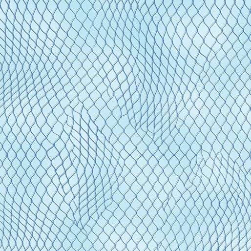 Netting Light BLue