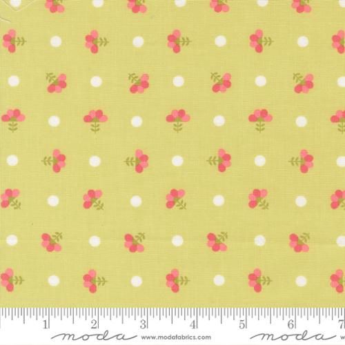 In the Garden Lime Light