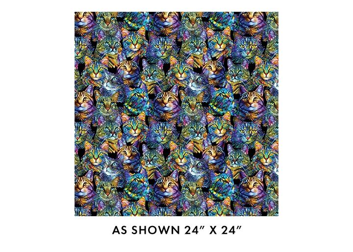 Cat Artistry - Portraits