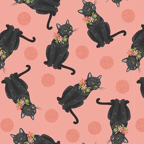 Curious Kirtycats Tossed Black Cats