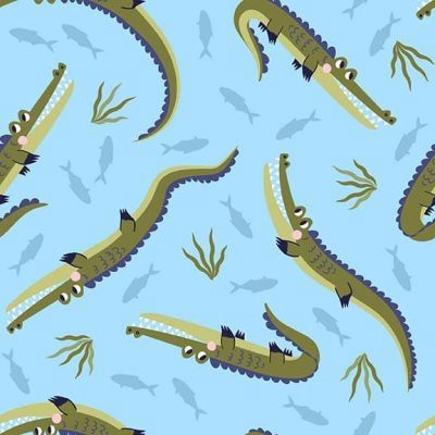 Aussie Oz Born Alligator