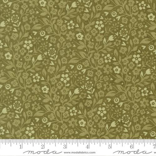 Fieldrush Ivi Basil