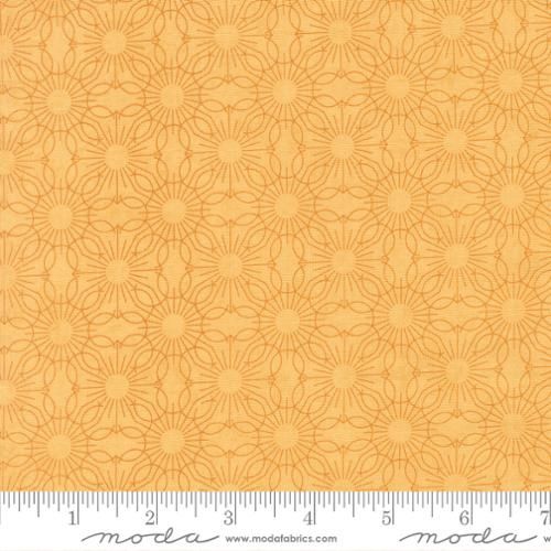 Fieldrush - Jasmine Sunshine
