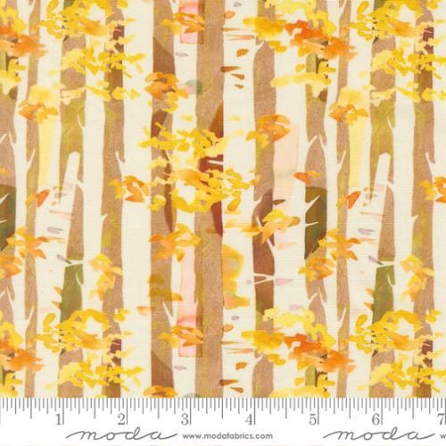 Northern Lights - Birch