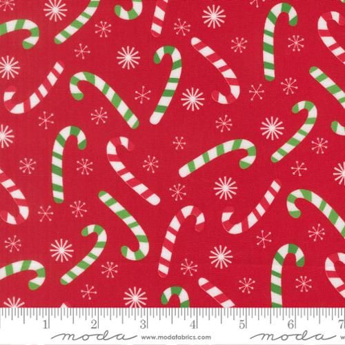 Snowtime Poinsettia