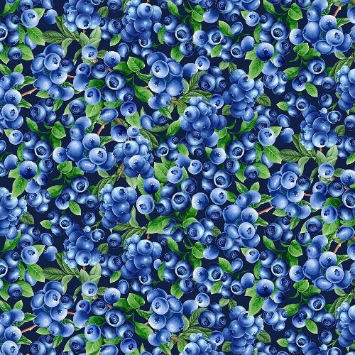 Blueberry Navy