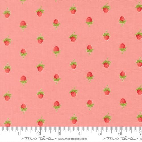 Bloomsberry Blush
