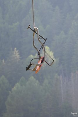 Abbandono naturale