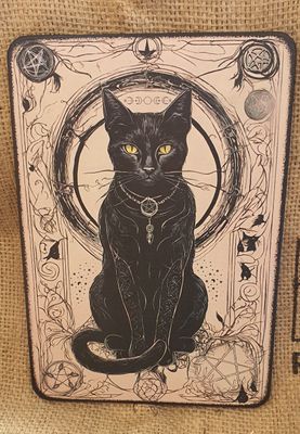 Mystic Black Witches Cat