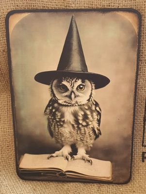 Vintage photo of a Witchy owl