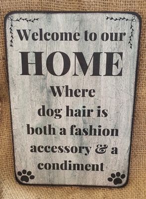 Welcome to our home / dog hair