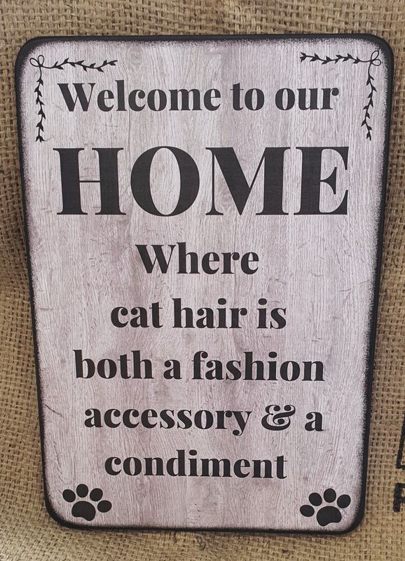 Welcome to our home / cat hair