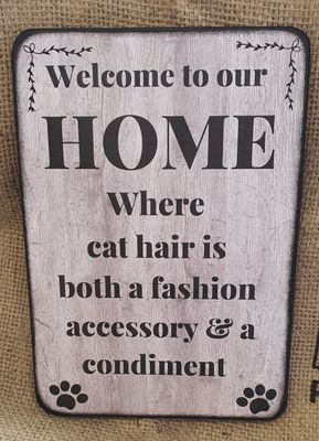 Welcome to our home / cat hair