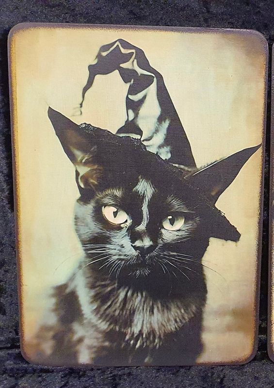 Vintage photos of black Cat wearing a witches hat