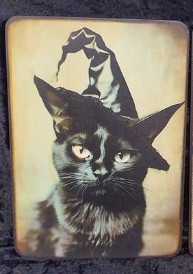 Vintage photos of black Cat wearing a witches hat