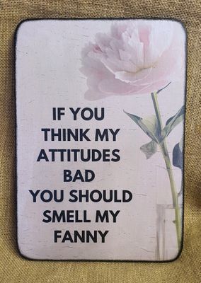 If you think my attitude is bad you should smell my fanny