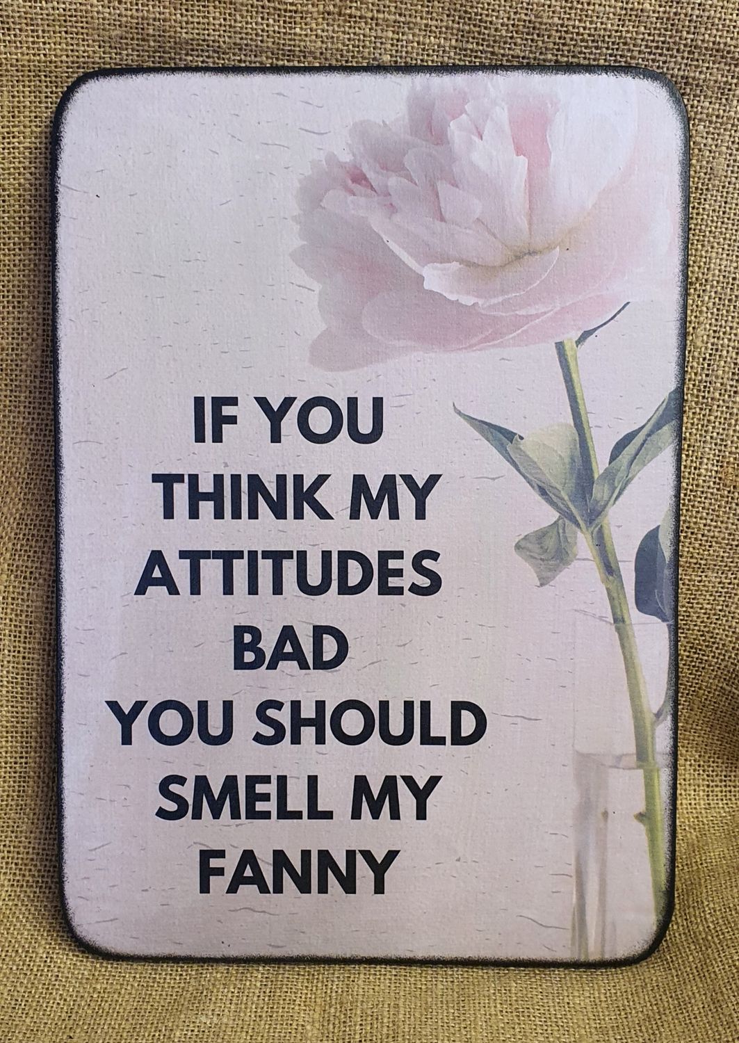 If you think my attitude is bad you should smell my fanny
