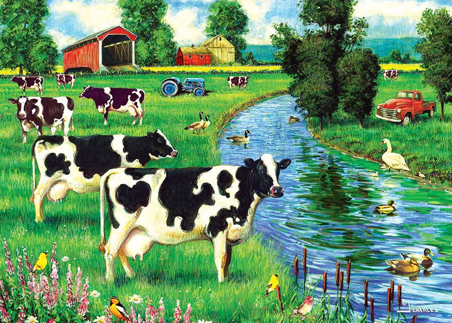 Cow Stream