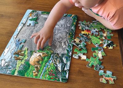 Puzzles