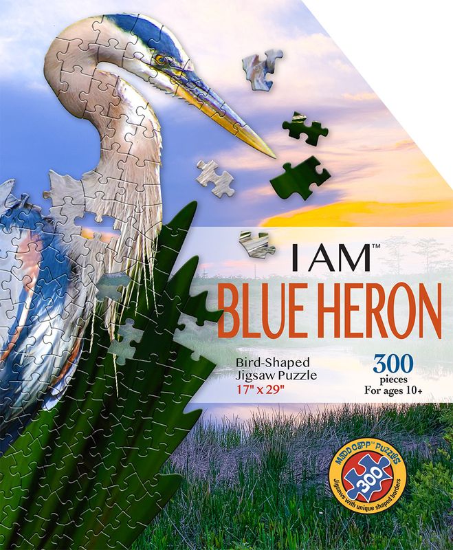 I Am Blue Heron 300