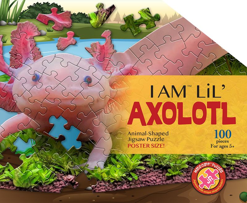 I Am Lil&#39; Axolotl 100