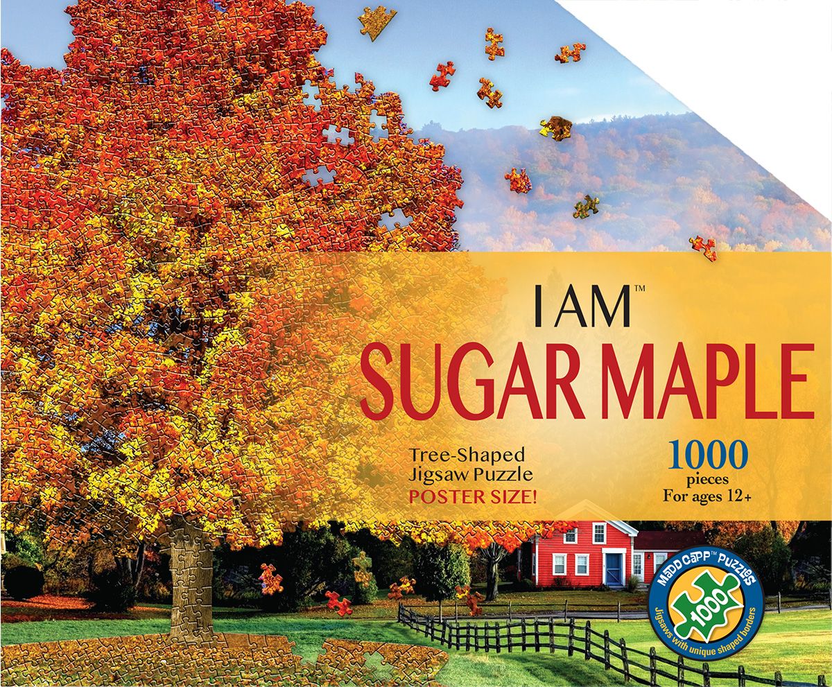 I Am Sugar Maple 1000