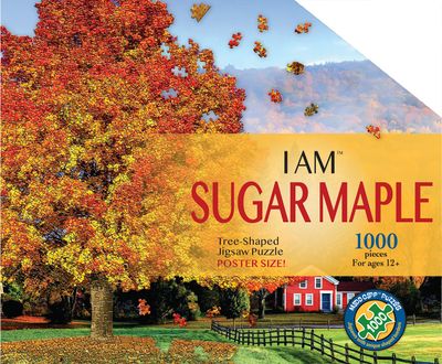 I Am Sugar Maple 1000