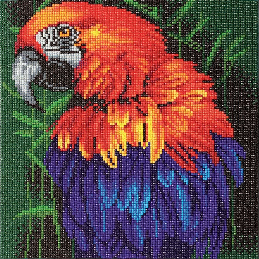 CA Mounted Kit Med: Tropical Bird