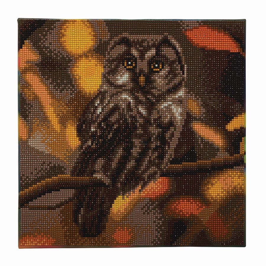 CA Mounted Kit Med: Tawny Owl