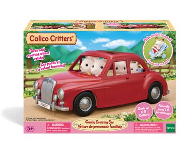 Family Cruising Car