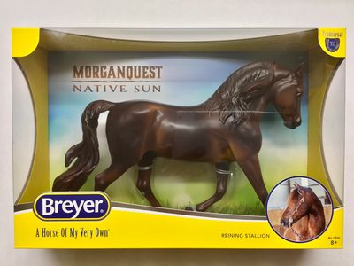 MorganQuest Native Sun